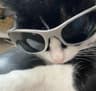Profile picture of izzy